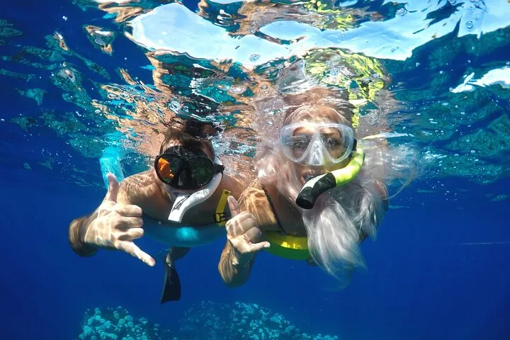 Maui Dolphins & Turtles - Makai Adventures