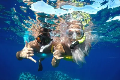 Maui Dolphins & Turtles - Makai Adventures