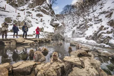 Luxury Private Snow Monkey and Cultural Tour of Nagano