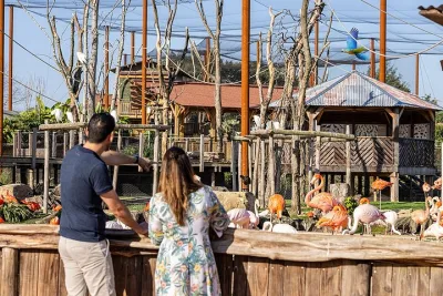 Parrot World Immersive Wildlife Park Entry Ticket next to Paris