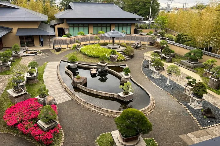 Omiya Bonsai Village Private Tour with Licensed Local Guide