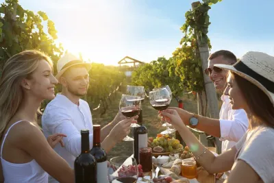 Tuscany: Chianti Semi-Private Wine Tasting and Dinner in Vineyard