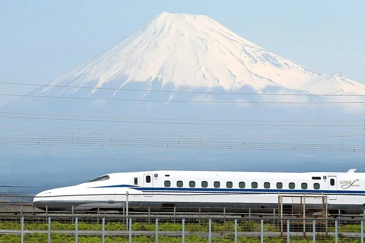 Bullet Train Experience & Mishima Shrine Private Tour from Tokyo