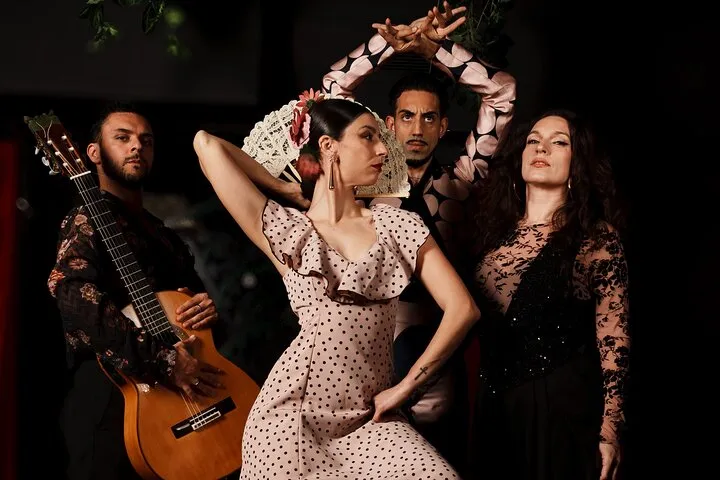 Authentic Flamenco Live Show With Wine in Barcelona