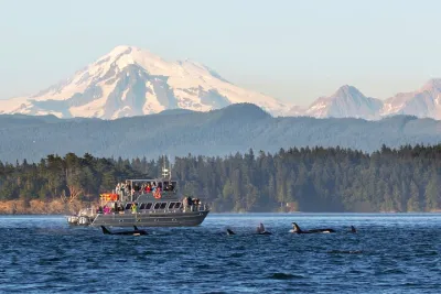 Whale Watching + Deception Pass Tour from Seattle