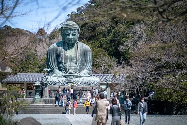 Day Trip to Kamakura & Enoshima: Shrines, Seaside, Temples & Tea
