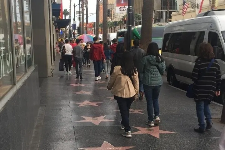 Private Large Group Hollywood Tour