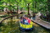 San Antonio: Alamo, River Walk, Cathedral, Cruise & Tower Tour