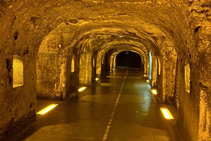 Moet Chandon Champagne Cellars Tastings Private trip from Paris