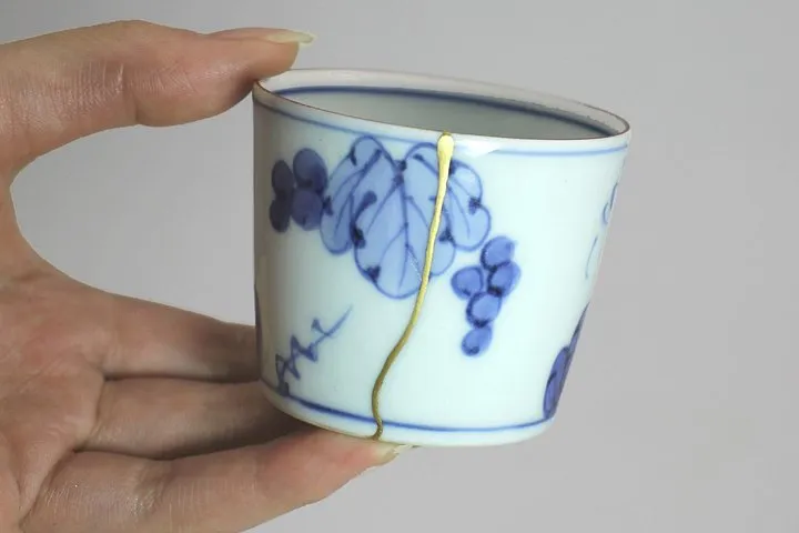 Tokyo Customized Tour & Kintsugi with Licensed Guide