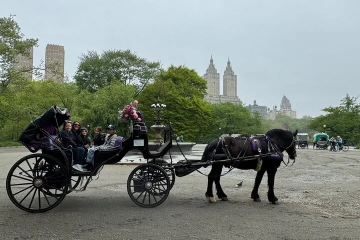 NYC Empire State Horses Carriage Ride in Central Park(55 Mins)