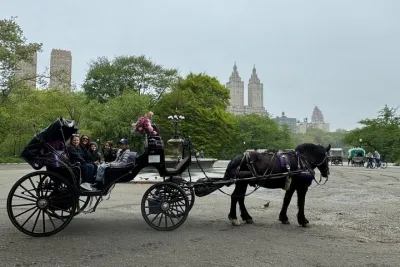 NYC Empire State Horses Carriage Ride in Central Park(55 Mins)