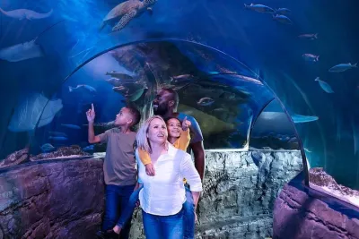 Combo Ticket: Madame Tussauds & SEA LIFE London Aquarium