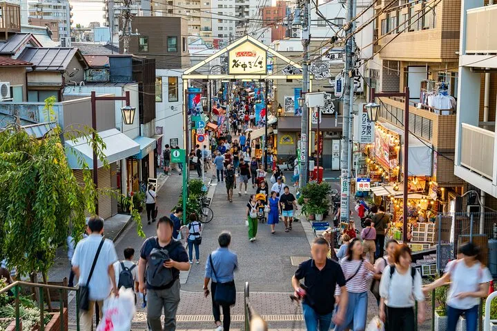Tokyo: Yanaka Historic Streets Guided Tour & Asakura Museum Visit