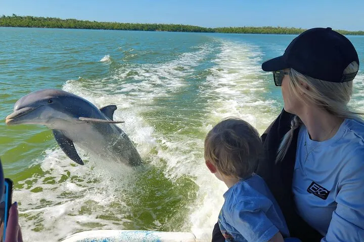 Everglades Tour w/ Biologist Led WET walk + 2 Boat Trips + Lunch!