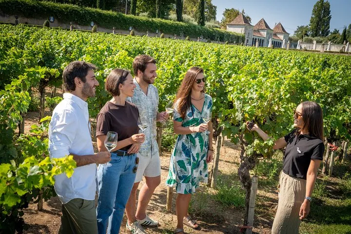 Setúbal: Winery & Fish Market Tasting Tour from Lisbon