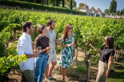 Setúbal: Winery & Fish Market Tasting Tour from Lisbon