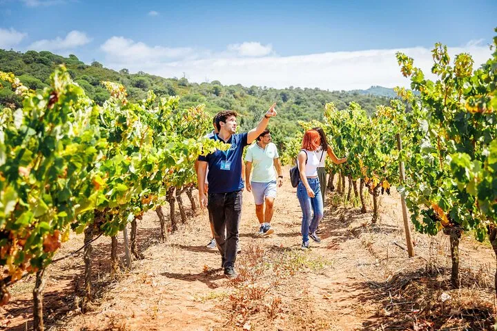 Arrabida and Sesimbra Small-Group Day Trip from Lisbon with Wine Tasting