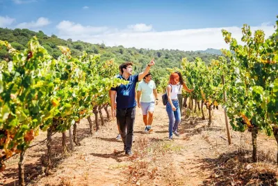 Arrabida and Sesimbra Small-Group Day Trip from Lisbon with Wine Tasting