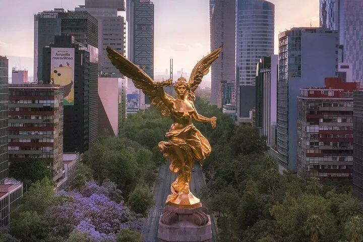 Historic Neighborhoods & Monuments: Hop-On, Hop-Off Mexico City