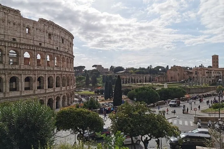 ROME:Colosseum, forum & palatin hill guided tour - private/group