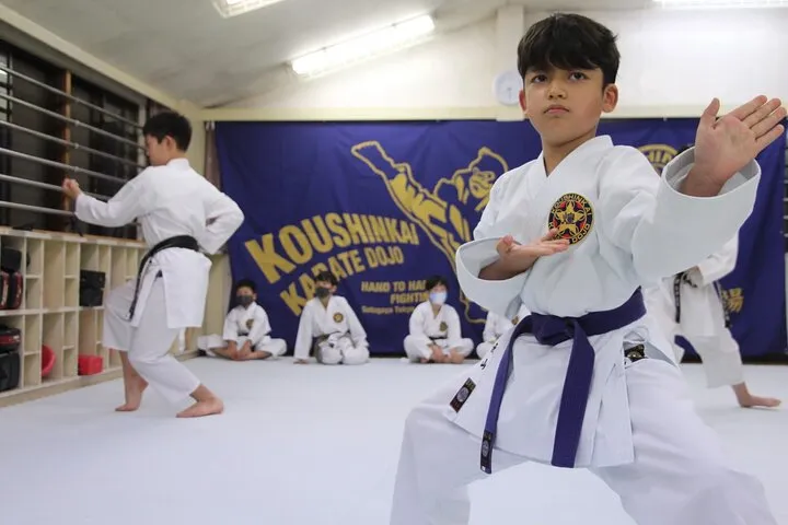 Tokyo Karate Experience (Family Friendly) with Karate Champion