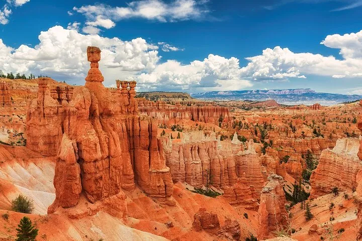 San Francisco: Yosemite, Las Vegas, Grand Canyon, 6-Day Tour