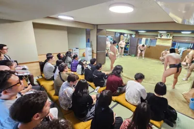 Unique Afternoon Live Sumo training tour in Tokyo