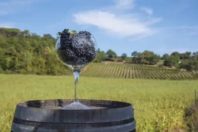 Exclusive Private Tuscan Pinot Noir, Land of Medici Family