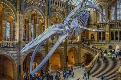 London Natural Marvels Museum Expedition Tour