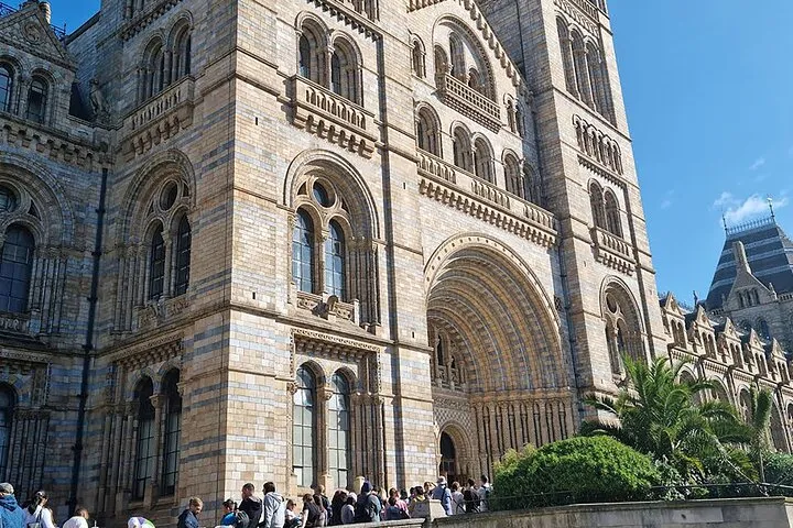 Discover the Natural Marvels of London A Museum Visit + Ebook
