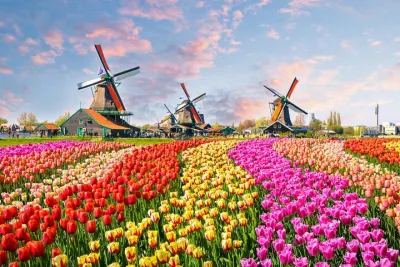 Tulips of Holland: Visit of Keukenhof Gardens with private guide