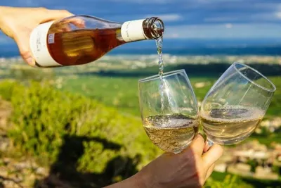 Setubal, Arrábida and Azeitão Private Wine Tour From Lisbon