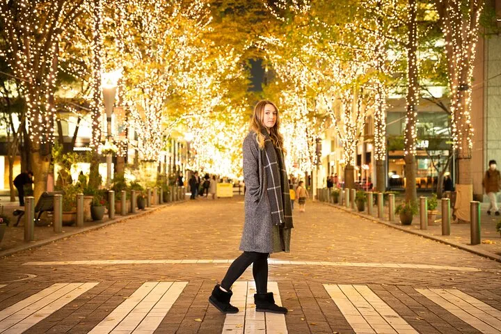 Holiday Lights Walk Tour Hibiya Midtown Tokyo Station Marunouchi