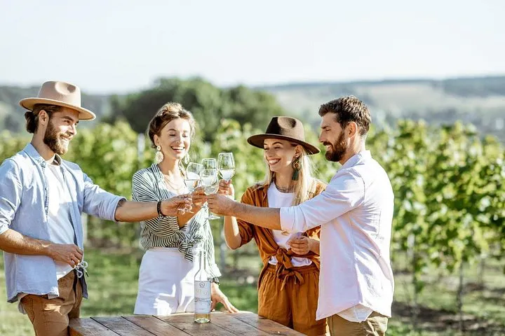 Private Luxury Tour: Top Wine Tasting Experience & Ancient Nemea