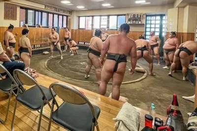Chair Seat Guaranteed SUMO Practice +Photo +Culture Option