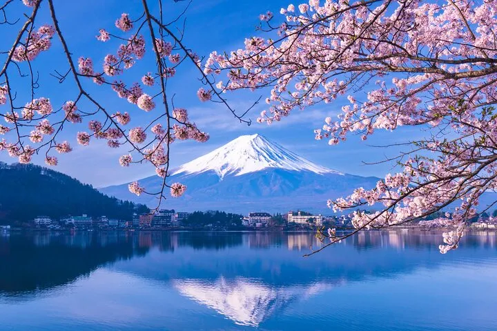 One Way Bus: Tokyo to Kawaguchiko or Matsumoto via Oshino Hakkai