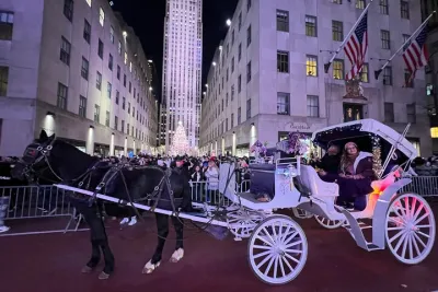 NYC : Magical Christmas Lights Private Horse Carriage Ride