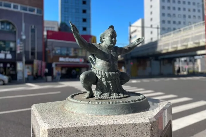 Tokyo: Know about Hokusai and Sumo culture in 2.5 hours