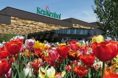 Private Keukenhof Tour From Amsterdam Skip-the-line tickets incl!