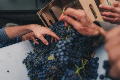 Tuscany Wine Tour
