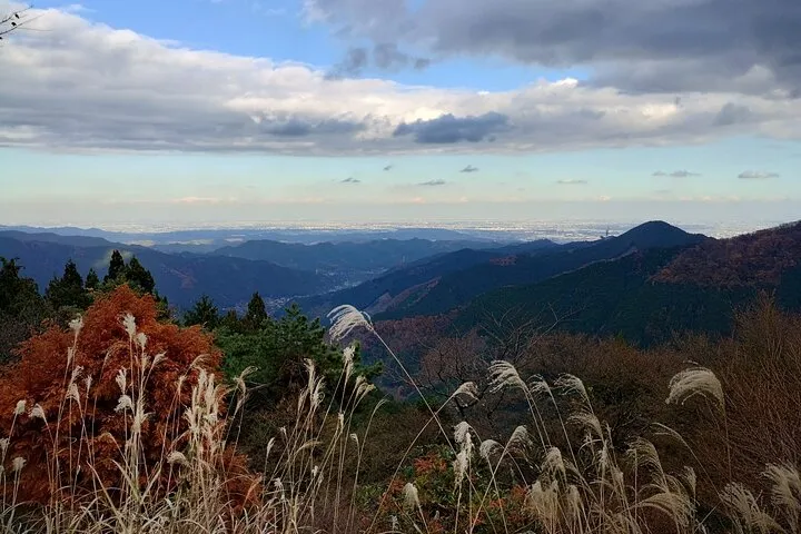 Private Hiking Activity near Tokyo