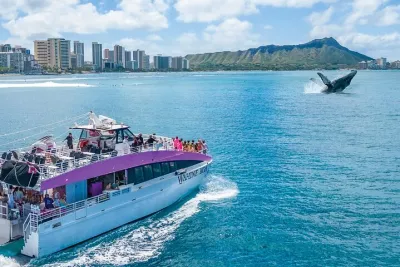 Waikiki: 2-Hour Whale Watching with Guaranteed Sightings on Oahu