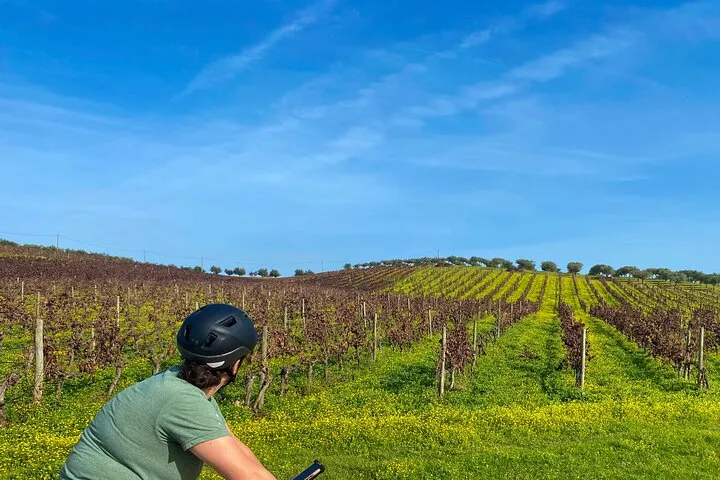 7-Day Portugal Self-Guided Bike Tour w/ Hotels & Luggage Transfer
