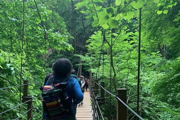 Full Day Hiking Tour at Mt.Takao including Hot Spring