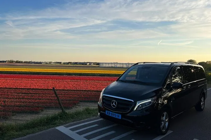 Amsterdam to Keukenhof Gardens Private Transfer by Luxury Minivan