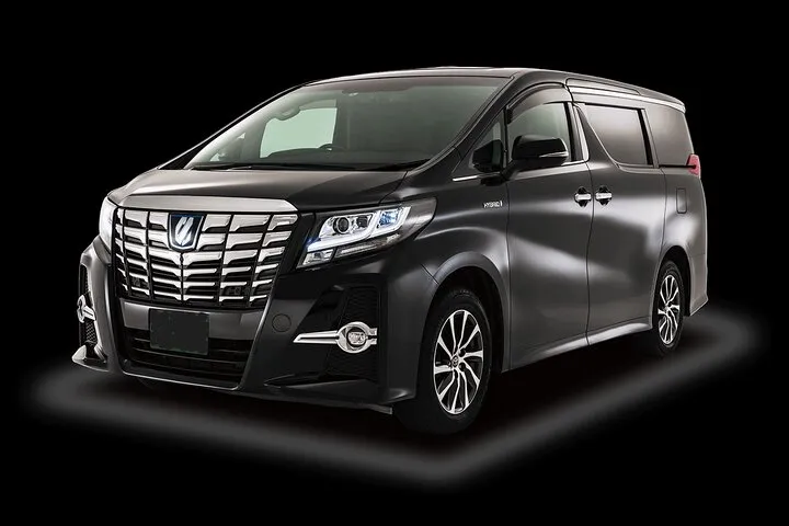 Private Taxi Tour in Tokyo with Government Licensed Guide