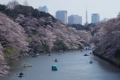 Conquer Tokyo's Best Cherry Blossom Viewing Spots in One Day