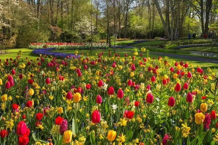 Keukenhof and Volendam from Amsterdam with Guide and Driver