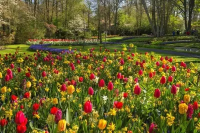 Keukenhof and Volendam from Amsterdam with Guide and Driver